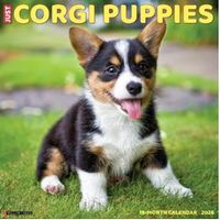 Corgi Puppies 2026 Calendar