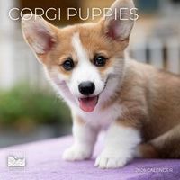 Corgi Puppy Calendars