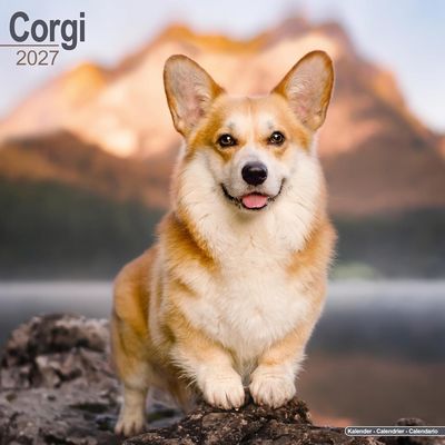 Corgi 2027 Calendar