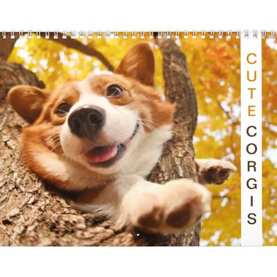 Cute Corgis! Puppy / Dog Calendar