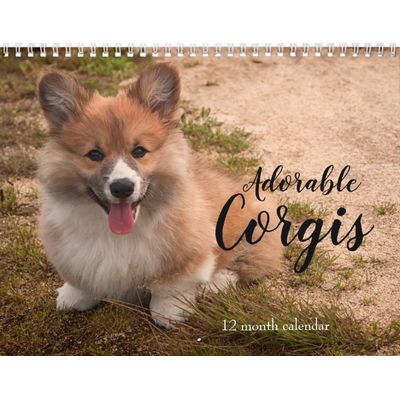 Adorable Corgi Dogs Calendar