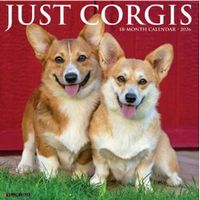 Corgis Calendars
