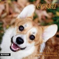 Corgi 2026 Calendar