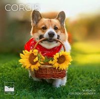 Corgis 2026 Calendar