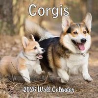 Corgis 2026 Calendar