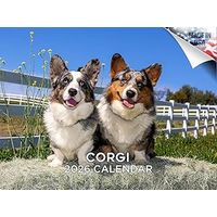 Corgis 2026 Calendar