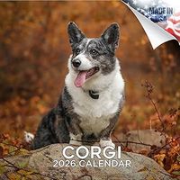 Corgis 2026 Calendar