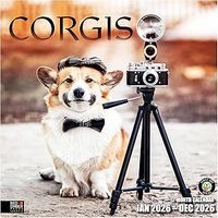 Corgis 2026 Calendar