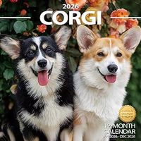 Corgis 2026 Calendar