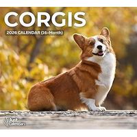 Corgis 2026 Calendar