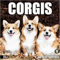 Corgis 2026 Calendar