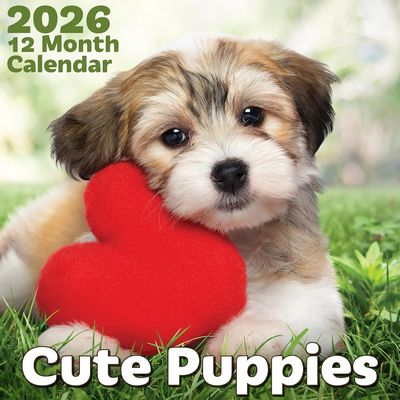Cute Puppies 2026 Wall Calendar