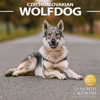 Czechoslovakian Wolfdog 2026 Wall Calendar