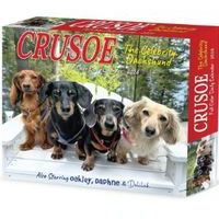 Crusoe the Celebrity Dachshund 2026 Desk Calendar