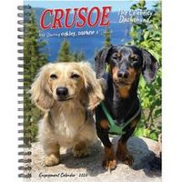 Crusoe The Celebrity Dachshund 2026 Engagement Planner