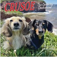Crusoe the Celebrity Dachshund 2026 Mini Wall Calendar