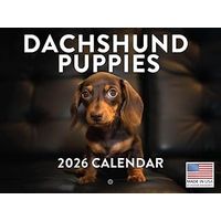 Dachshund Puppies 2026 Calendar