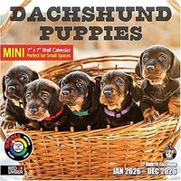 Dachshund Puppies 2026 Mini Wall Calendar