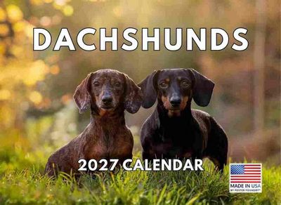 Dachshunds 2027 Calendar