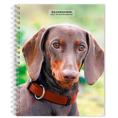 Dachshunds 2027 Engagement Planner