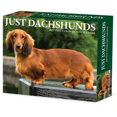Just Dachshunds 2027 Desk Calendar