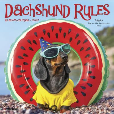 Dachshund Rules 2027 Mini Wall Calendar