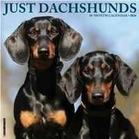 Dachshunds Calendars