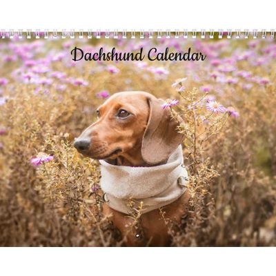 Dachshund 2027 Wall Calendar
