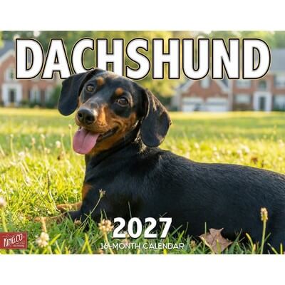 Dachshund 2027 Wall Calendar