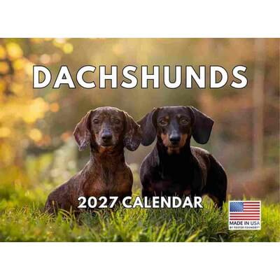 Dachshund 2027 Wall Calendar