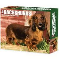Just Dachshunds 2026 Desk Calendar