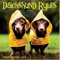 Dachshund Rules 2026 Mini Wall Calendar