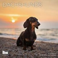 2026 Dachshund Wall Calendar