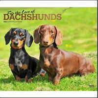 For the Love of Dachshunds 2026 Calendar