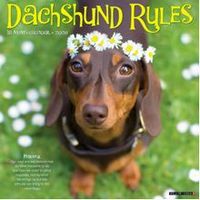 2026 Dachshund Wall Calendar