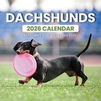 2026 Dachshunds Wall Calendar