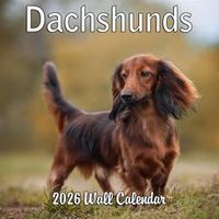 2026 Dachshunds Wall Calendar