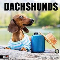 2026 Dachshunds Wall Calendar