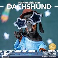 2026 Fashionable Fun Dachshund Wall Calendar