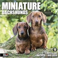 Miniature Dachshunds 2026 Wall Calendar