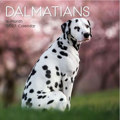 Dalmatians 2027 Wall Calendar