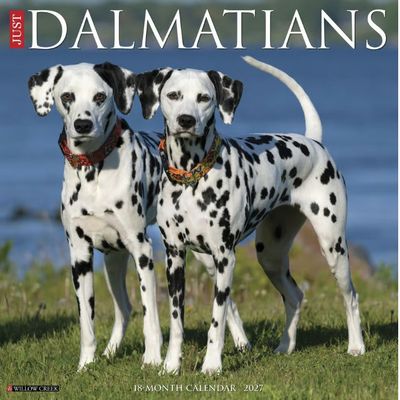 Just Dalmatians 2027 Wall Calendar