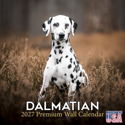 Dalmatians 2027 Calendar
