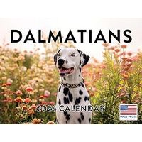 Dalmatians 2026 Calendar