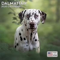 Dalmatians 2026 Calendar