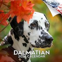 Dalmatian 2026 Wall Calendar