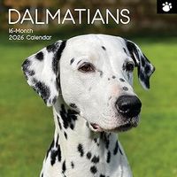Dalmatian 2026 Wall Calendar