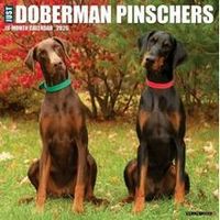Doberman Pinschers 2026 Calendar