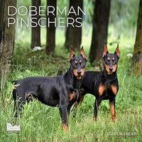 2026 Doberman Pinscher Calendars