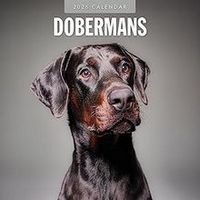 Doberman 2026 Calendar